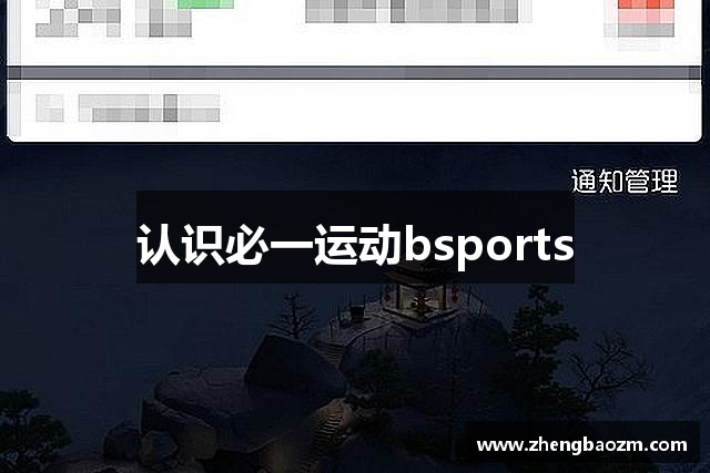认识必一运动bsports